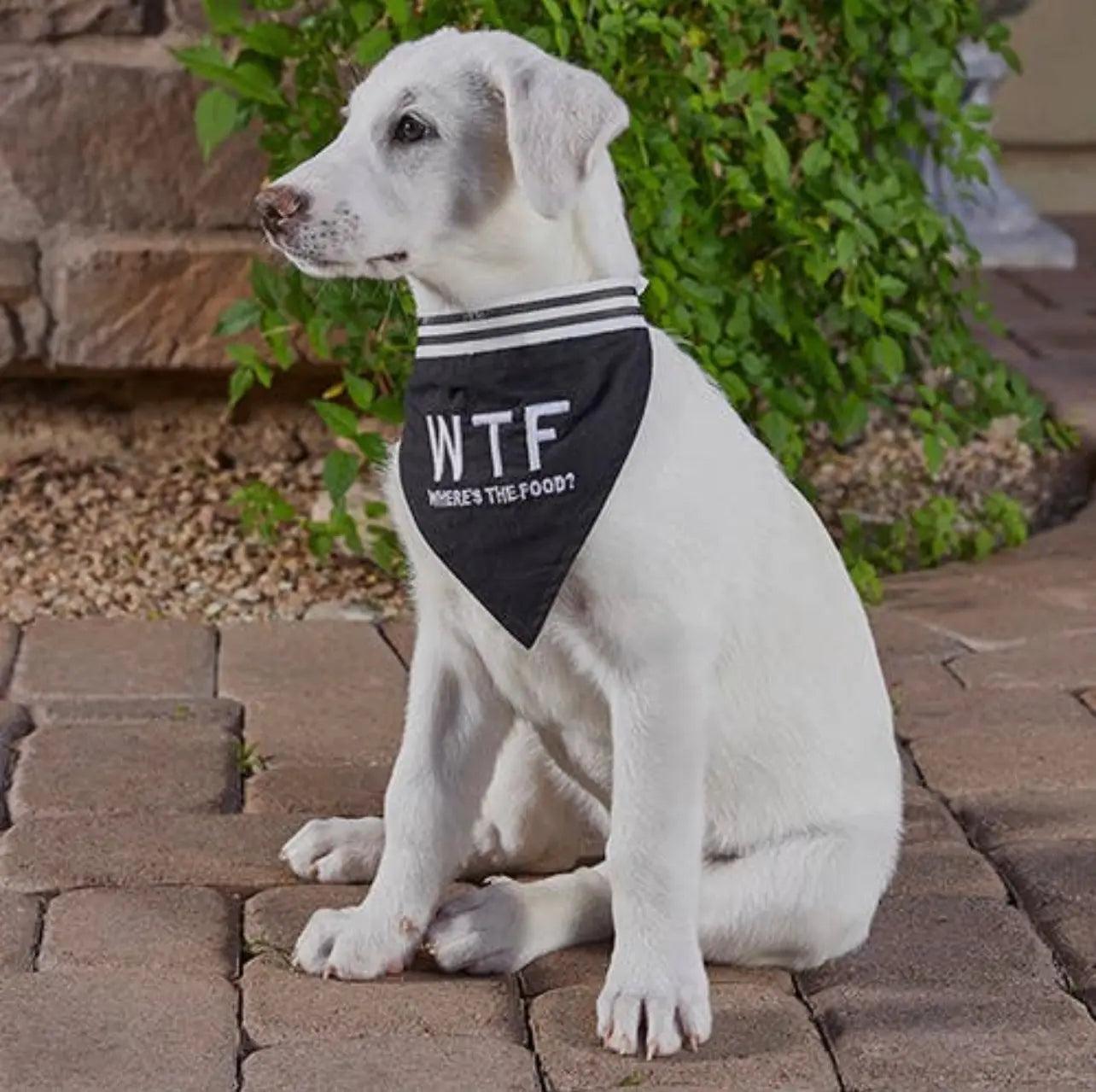 Pet Bandana - W.T.F Santa Barbara Design Studio by Creative Brands