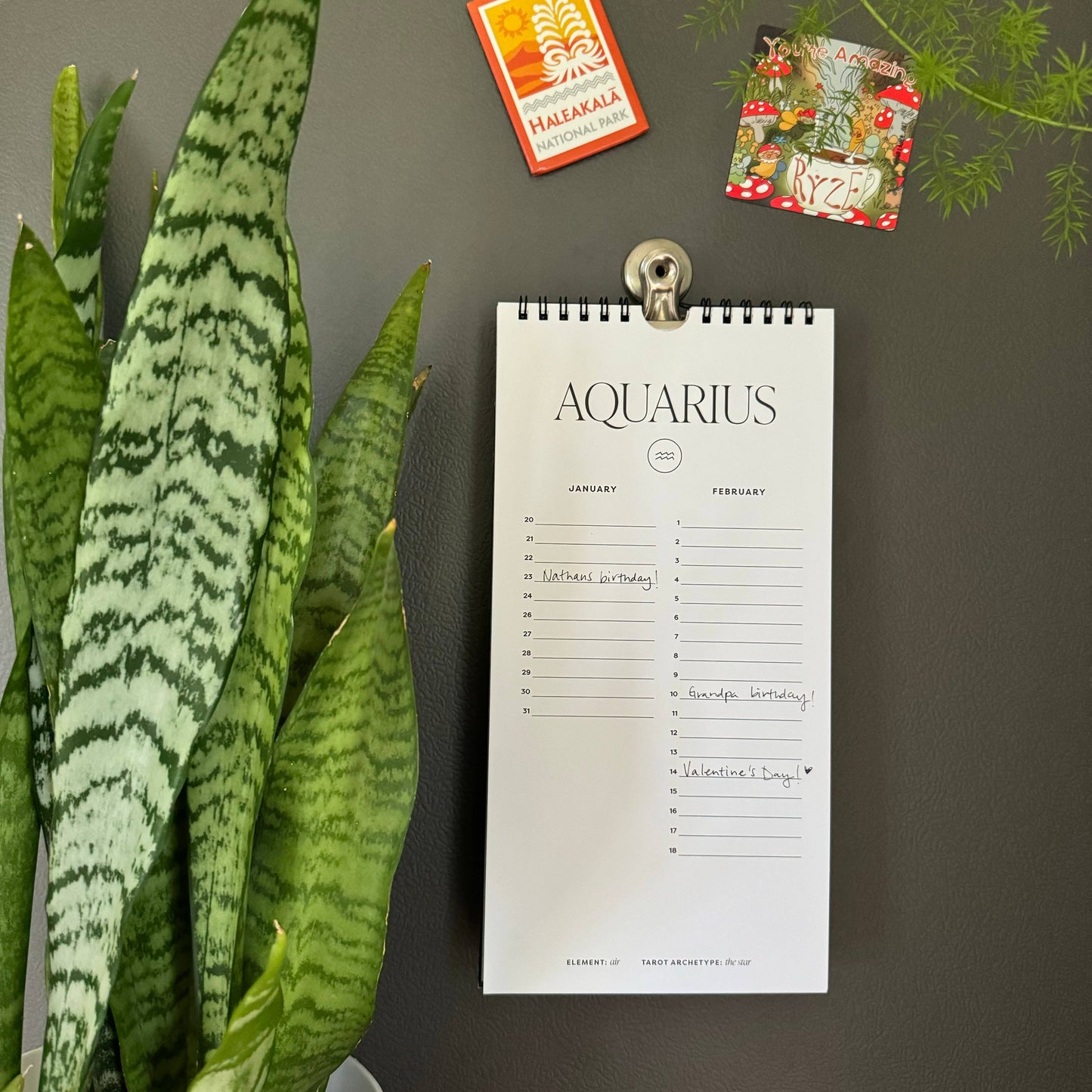 Perpetual Calendar - Special Dates to Remember, Wall or Desk - Greta Bean & Co.