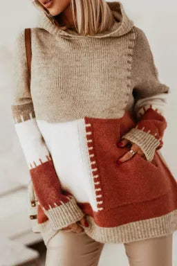 Brown Color Block Hooded Sweater