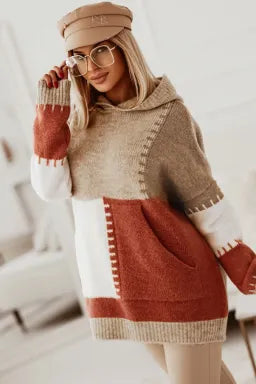 Brown Color Block Hooded Sweater