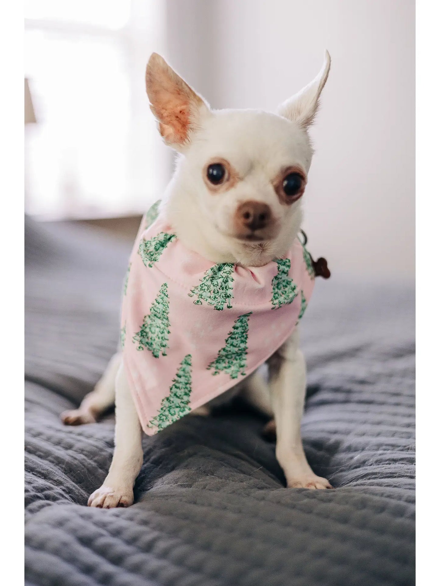 Christmas Pink Tree - Pet Bandana