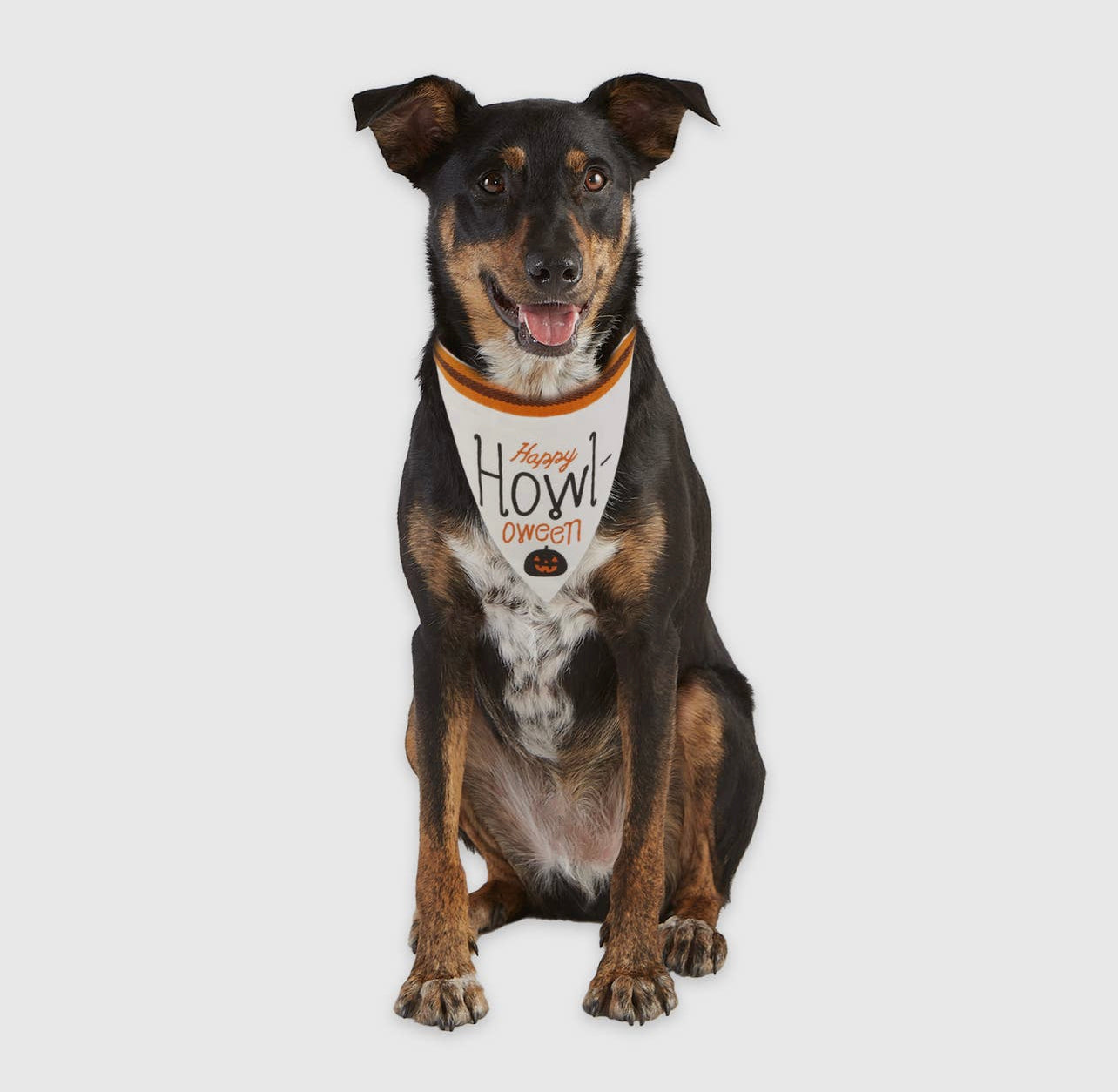 Howl-Oween Pet Halloween Bandana