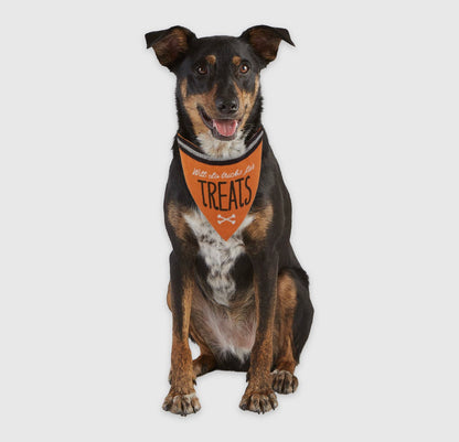 Howl-Oween Pet Halloween Bandana