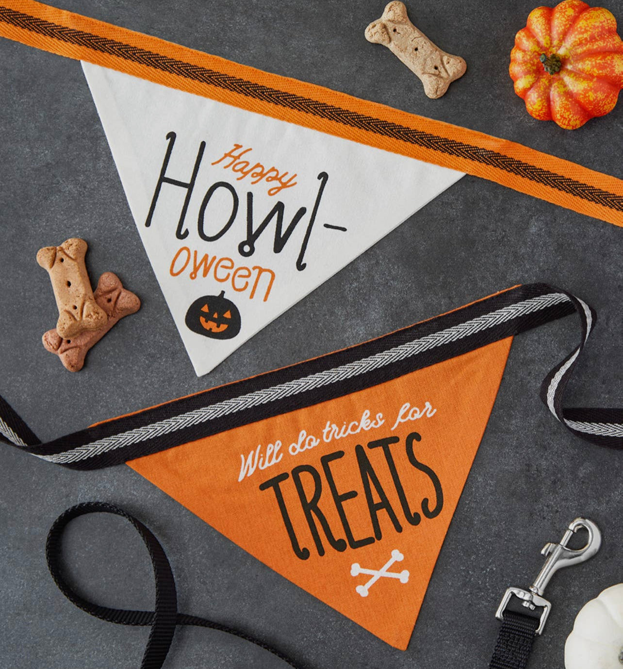 Howl-Oween Pet Halloween Bandana