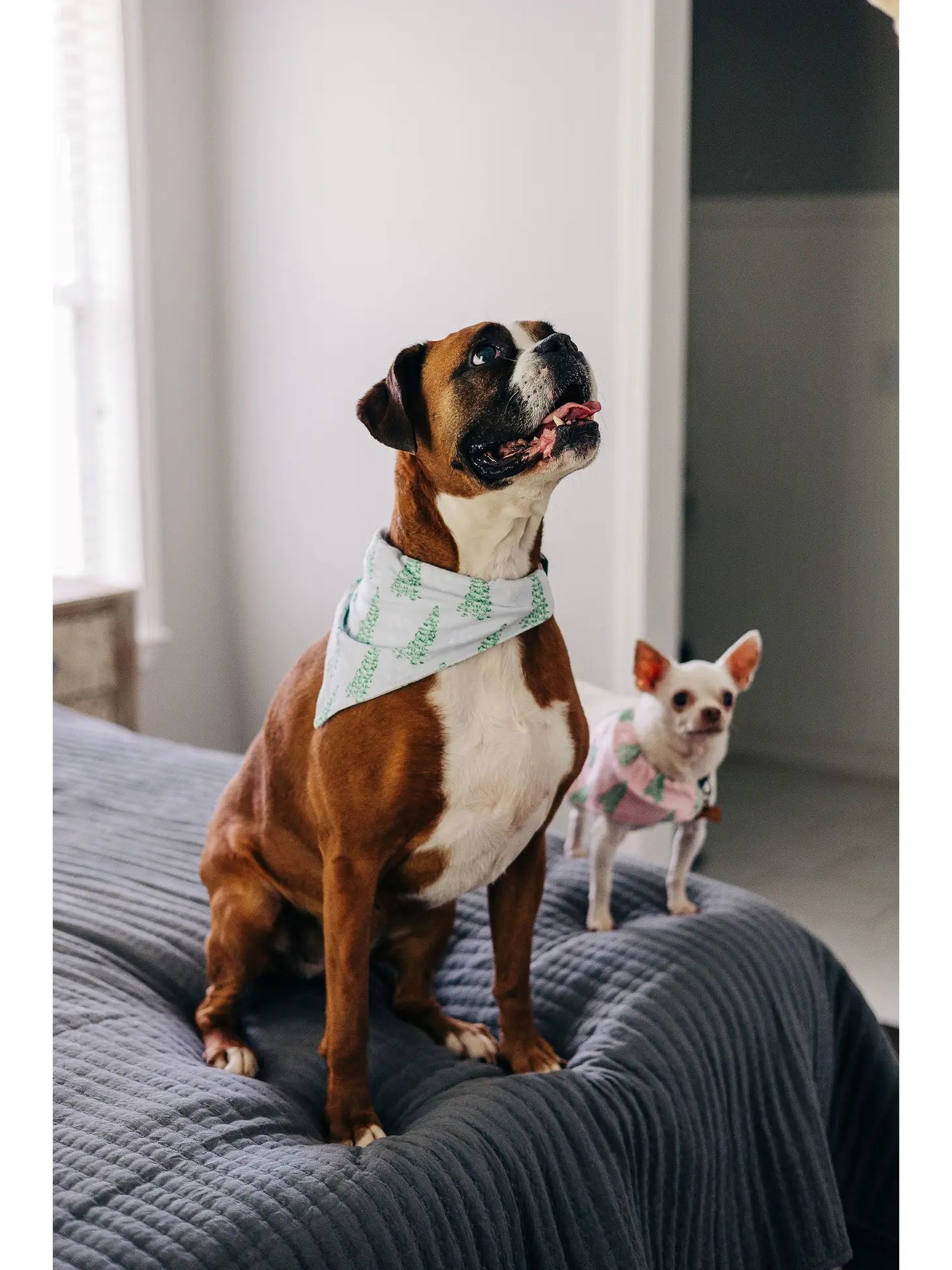 Christmas Pink Tree - Pet Bandana